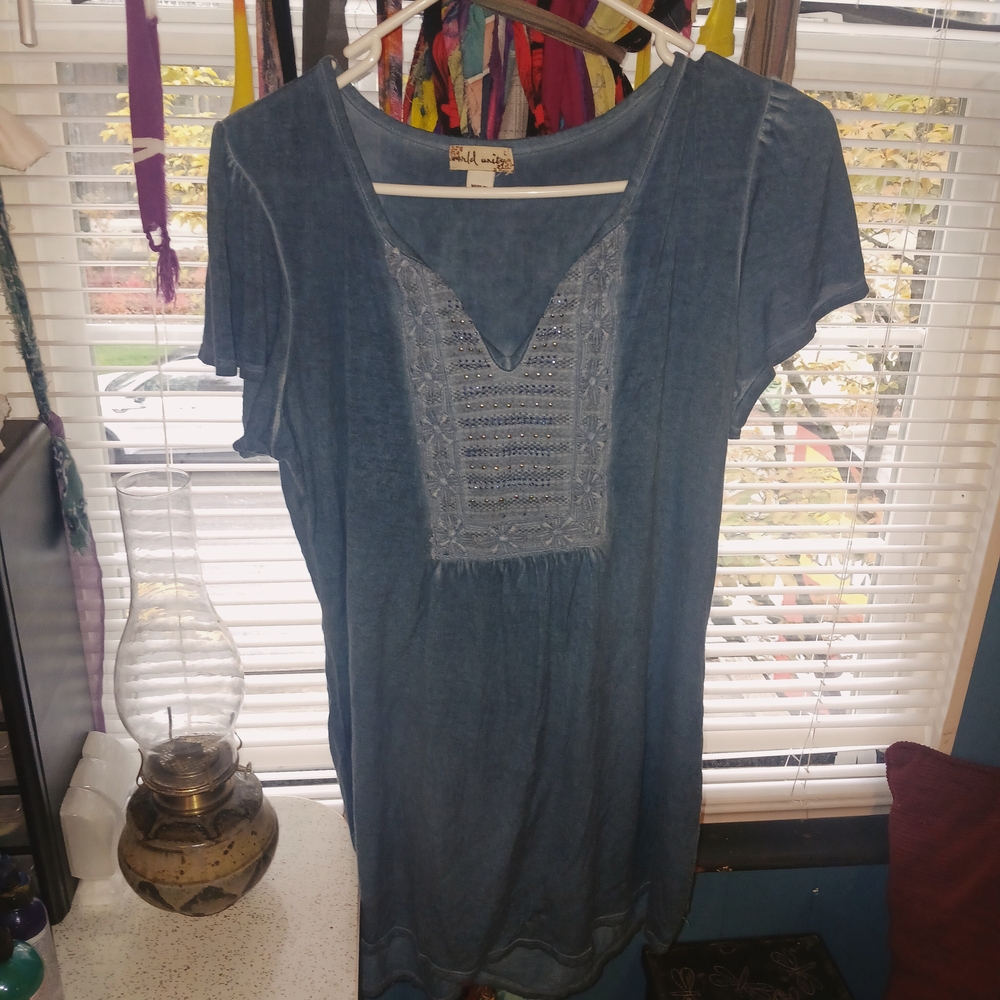 Stylish  Blue Embroidered Blouse